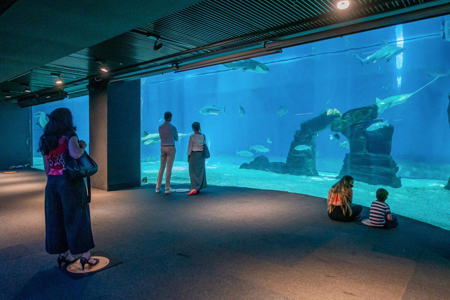 Visitors watching sharks in the large tank at Acquario di Genova, Italy's largest aquarium