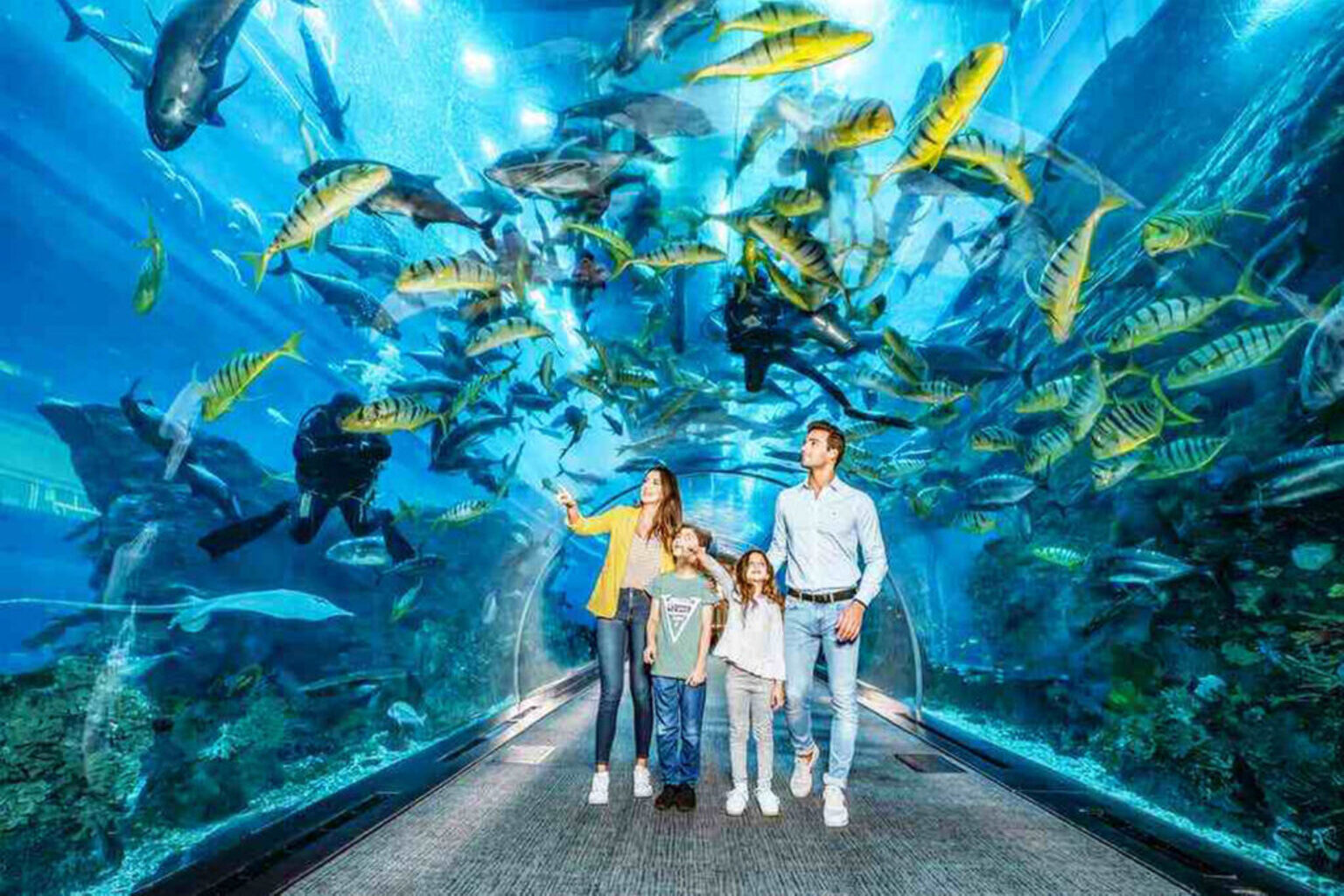 Family walking through the underwater tunnel at Acquario di Genova surrounded by tropical fish and sharks