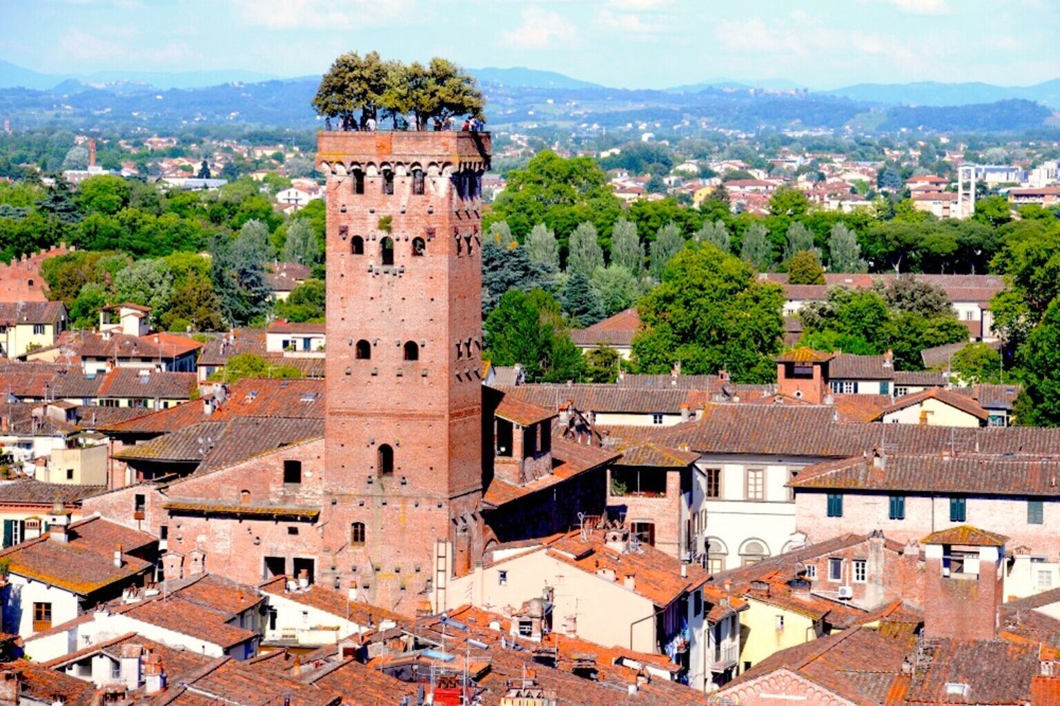 Torre Guinigi Lucca — medieval tower with oak trees growing on top and panoramic city views